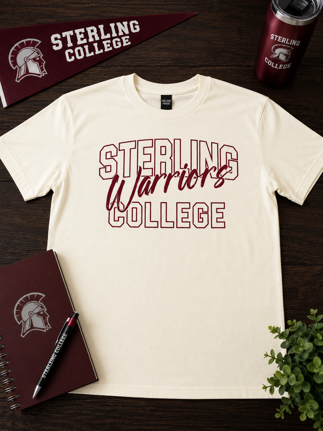 Sterling College-Rainbow Tees-NEW