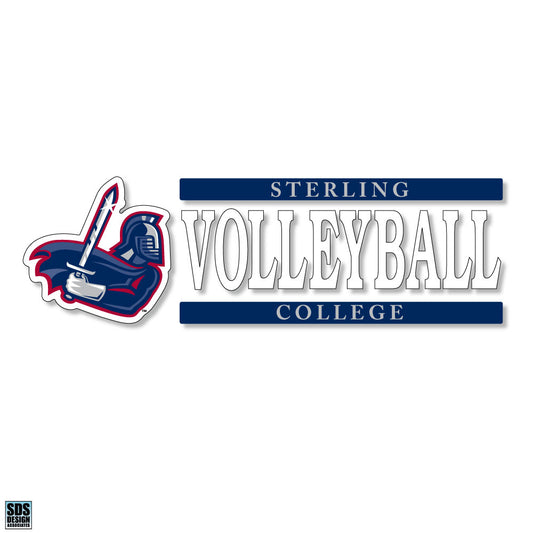 Volleyball Decal